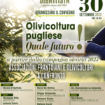 A LUCERA IL CONVEGNO, ‘OLIVICOLTURA PUGLIESE-QUALE FUTURO ASSOCIAZIONI FRANTOIANI E OLIVICOLTORI A CONFRONTO’